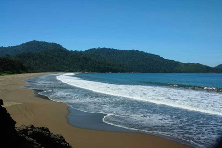 Pantai Bandealit, Destinasi Pantai yang Eksotik di Kabupaten Jember