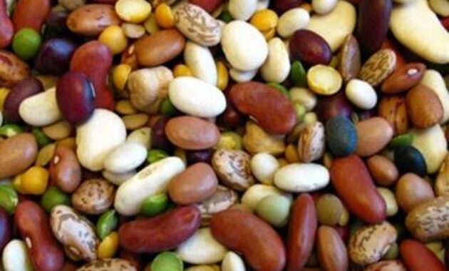 Kacang-Kacangan Camilan Sehat Saat Diet